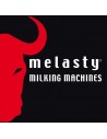 Melasty